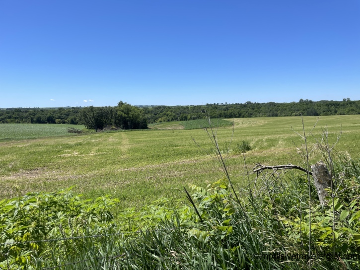 Panoramic view of rolling southwest Wisconsin farmland from the rest area — hay fields, row crops, and wooded ridgelines layered to the horizon under a high blue sky.